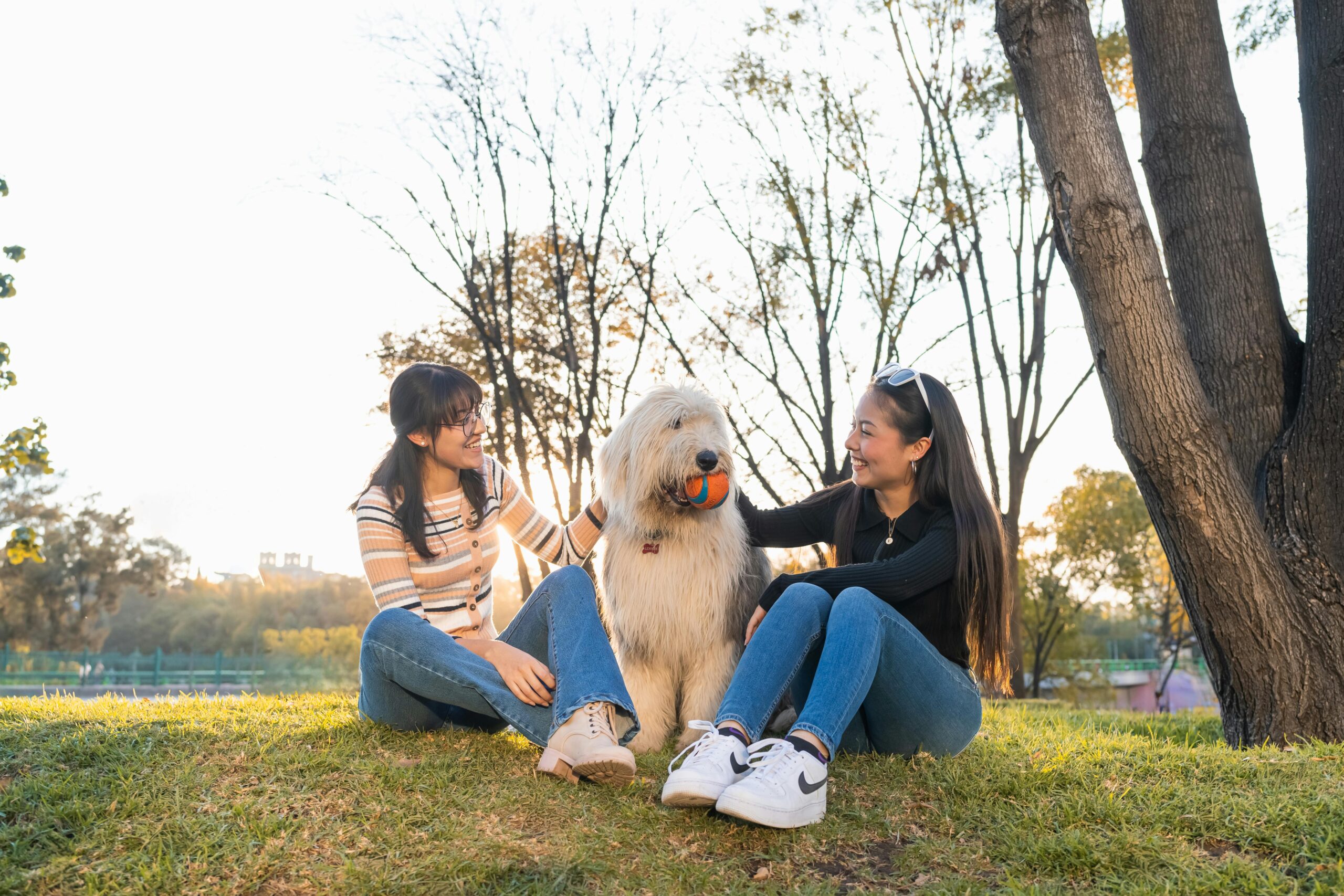 Two friends relaxing in a park with a fluffy dog, enjoying a sunny day outdoors.